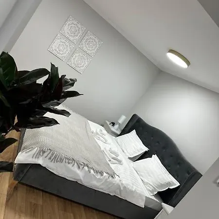 Apartament M&a * Timisoara