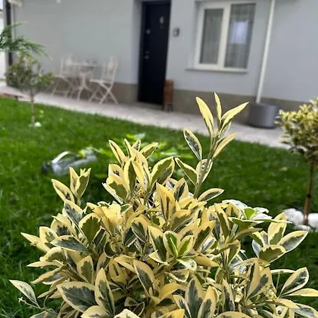 Apartament M&a Apartment