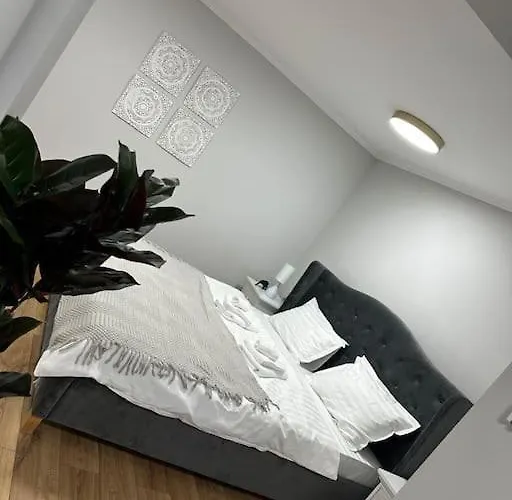 Apartament M&a * Timisoara